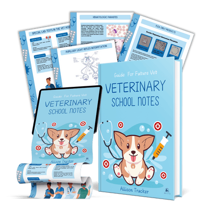 Vet Notes Mega Bundle